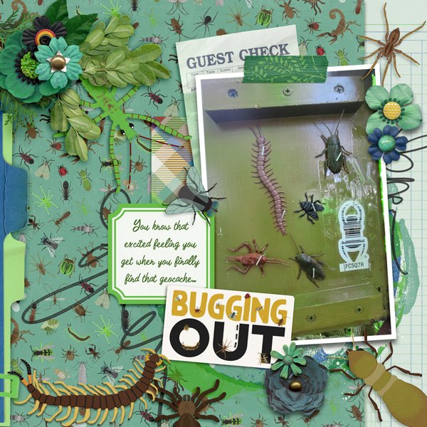 Jul-16-Bugging-Out-Geocache.jpg