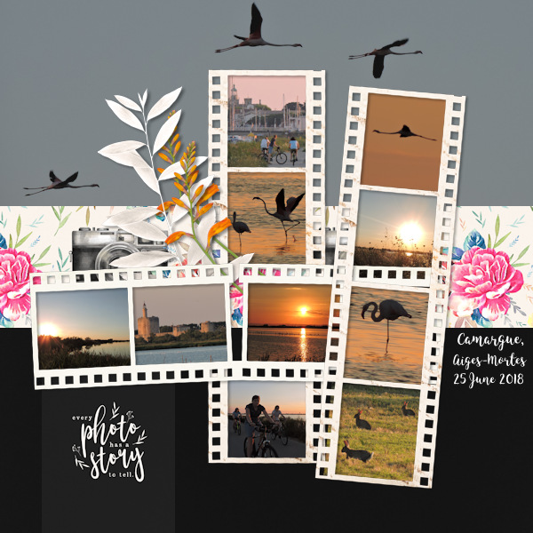 July 14 - photostrips
