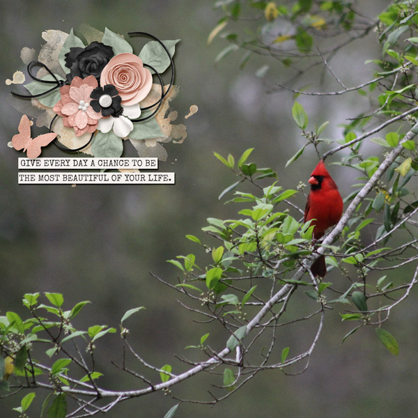 July 8 - Scrap on Your Photo