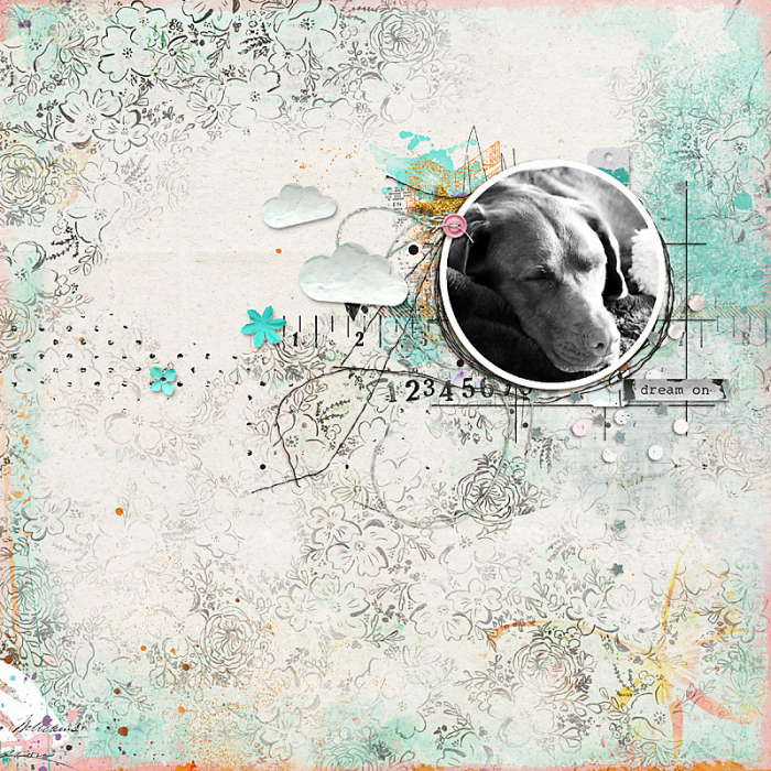 June 2021 Passport to Dreaming 7 Photography: Dreamland