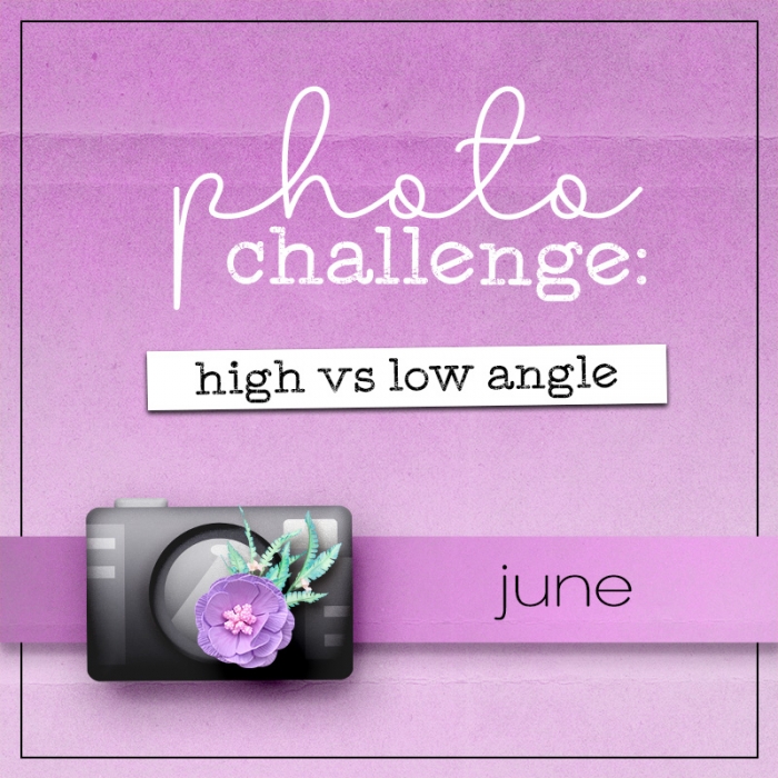 June Photography Challenge: High vs Low Angle