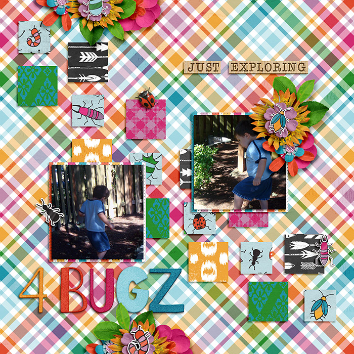 Just-Exploring-4-Bugz
