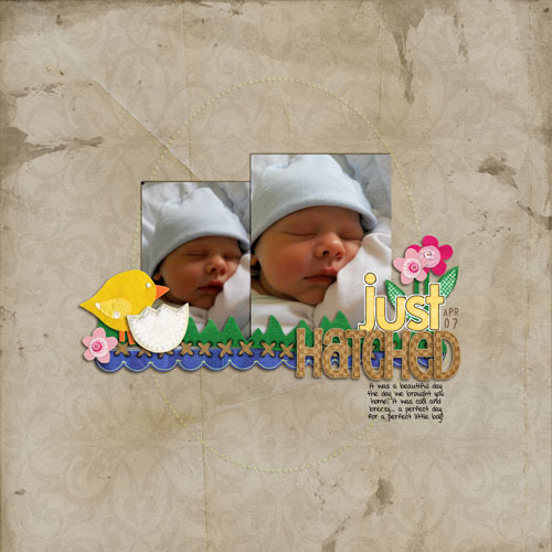 Just Hatched