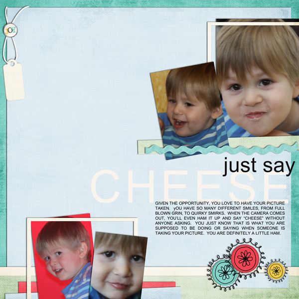 Just Say Cheese