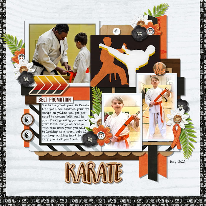 Karate Belt Promotion