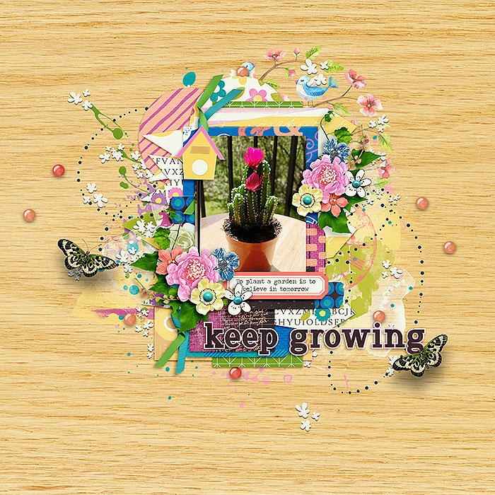 Keep Growing