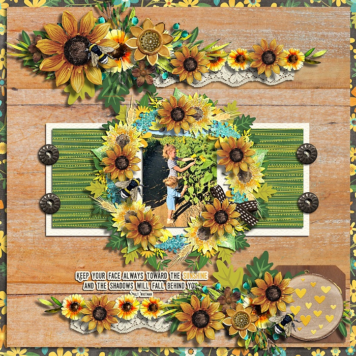 Keep your face toward the sun