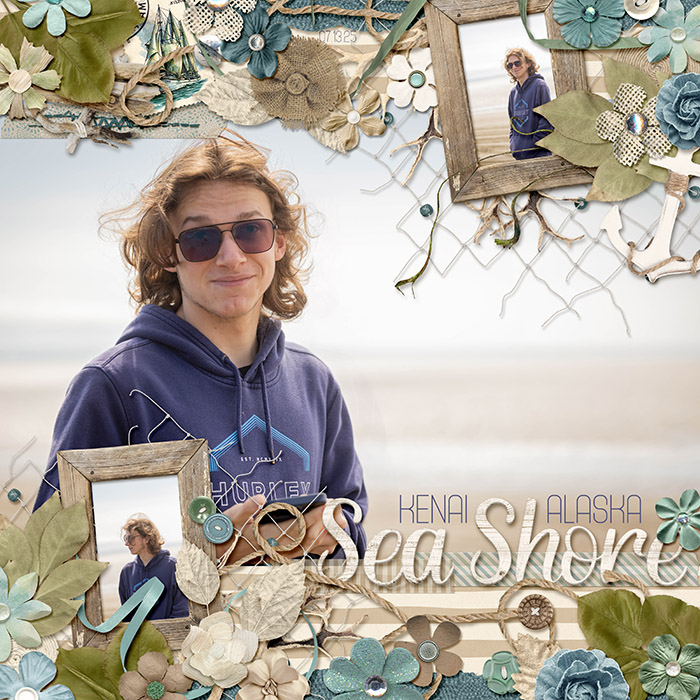 Kenai Alaska Sea Shore