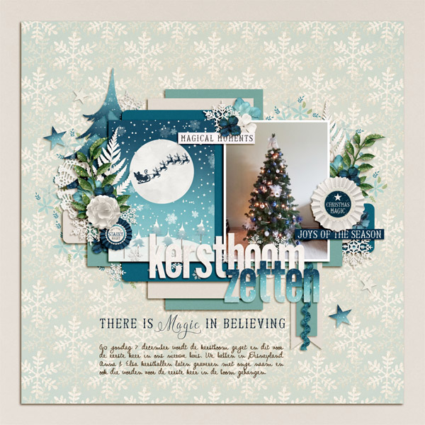Kerstboom zetten