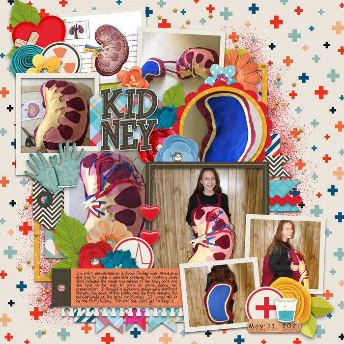 Kidney