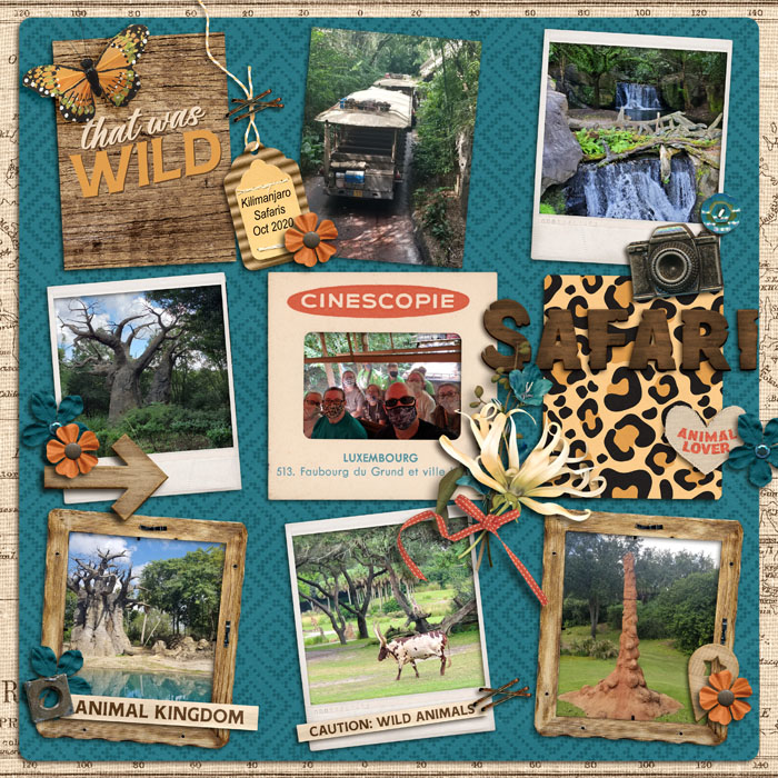Kilimanjaro Safari