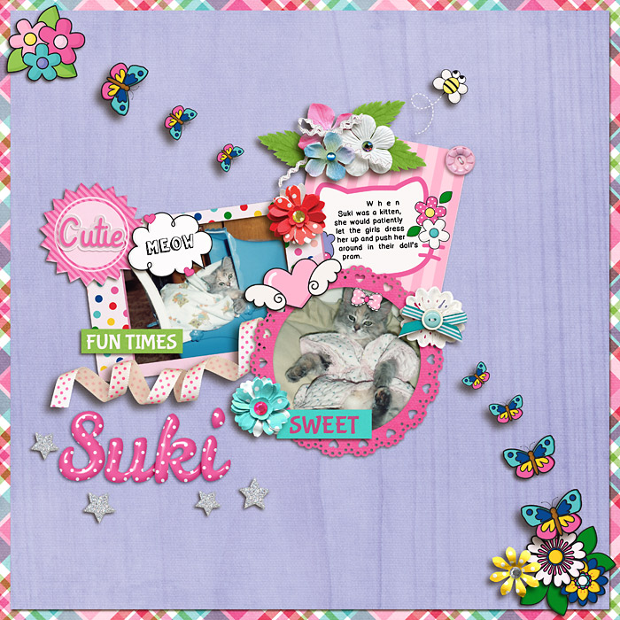 Kitten Fun