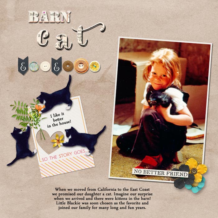 Kittens in the Barn