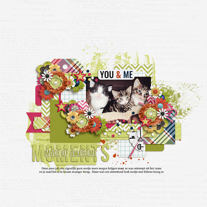 kittens-small