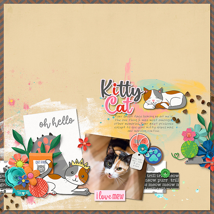 Kitty Cat