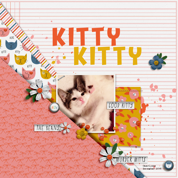 kitty kitty