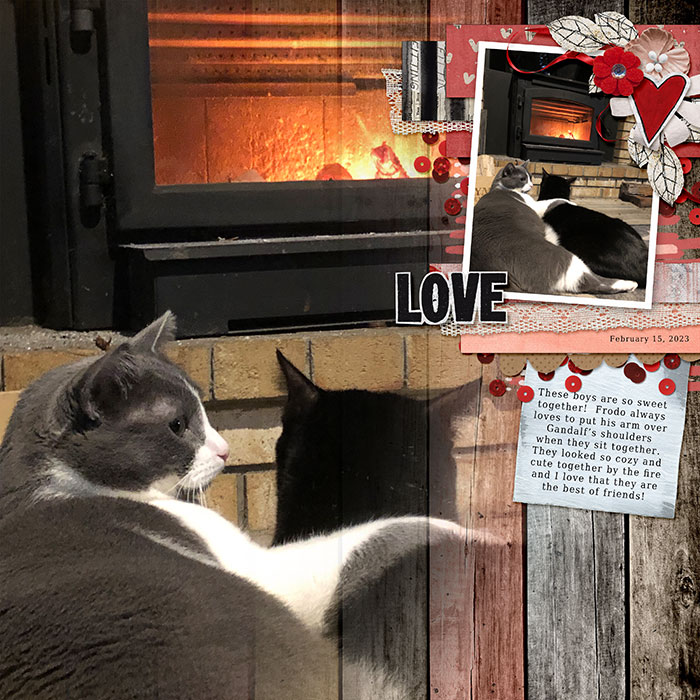 Kitty Love