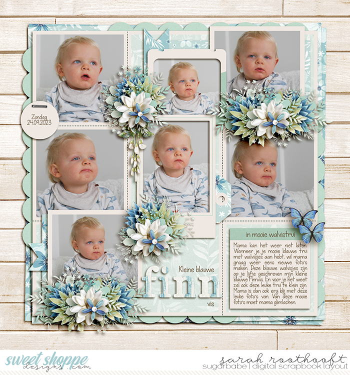 Kleine Blauwe Finnvis
