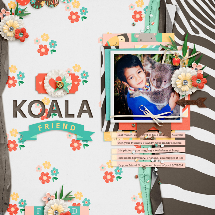 Koala Friend