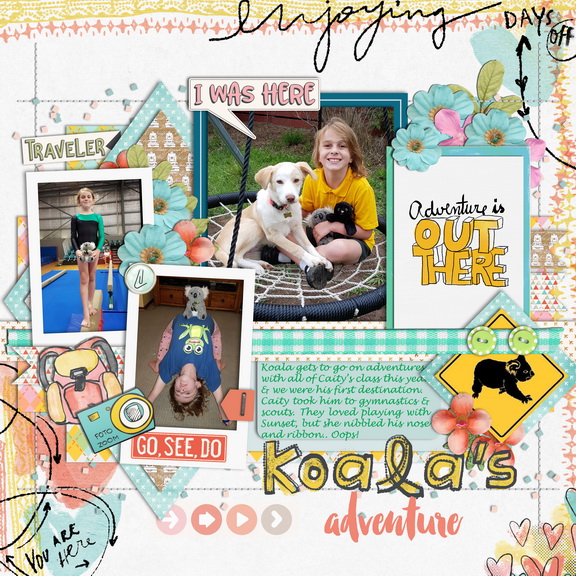 koala's adventure