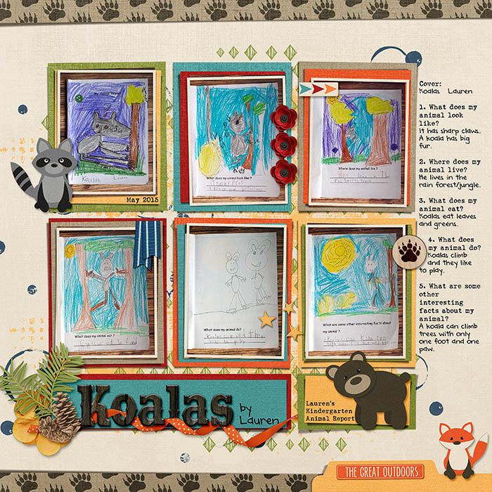 Koalas by Lauren