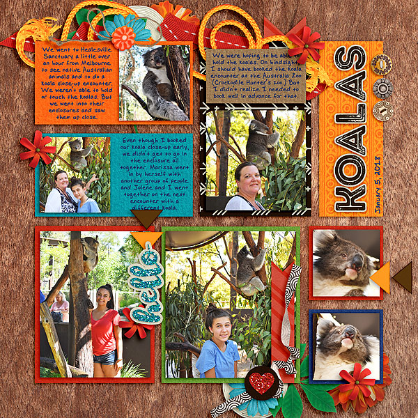 Koalas