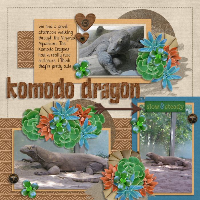 Komodo Dragon