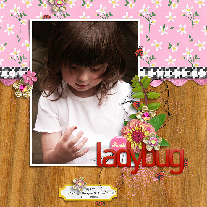 Ladybug