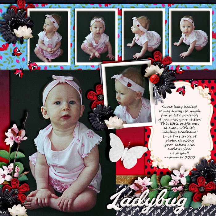 Ladybug