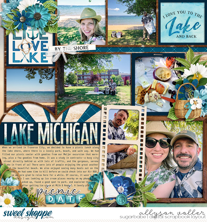 Lake Michigan Picnic Date
