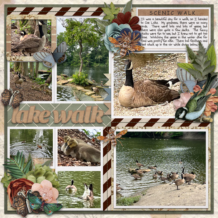 Lake Walk