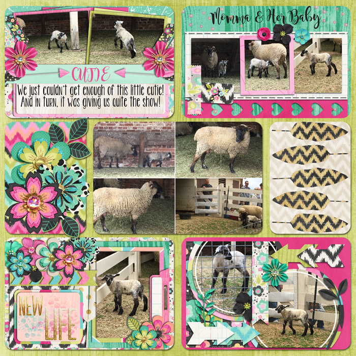 Lambs 2