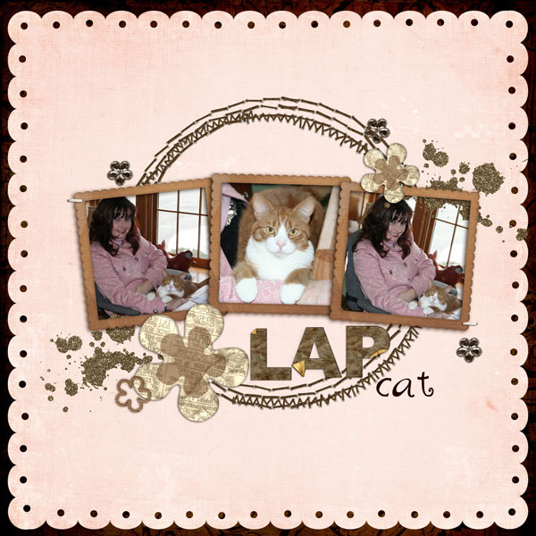 Lap Cat