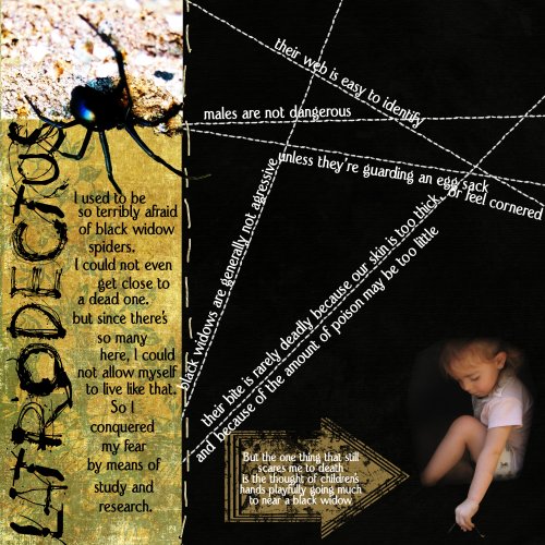 latrodectus