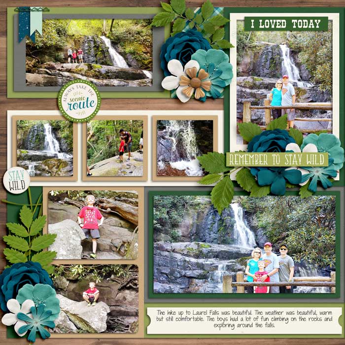 Laurel Falls 3
