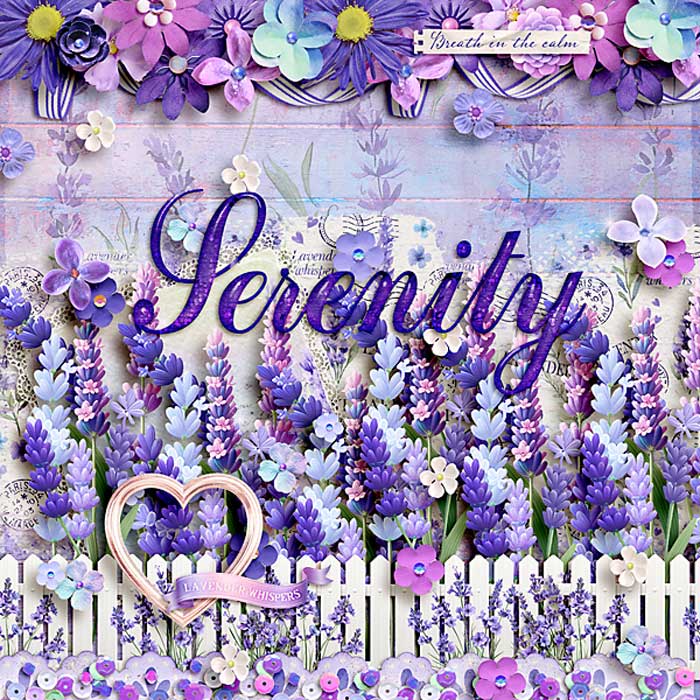 lavendar-copy