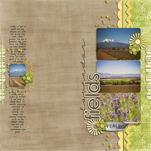 Lavendar Fields