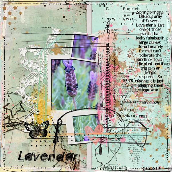 Lavendar