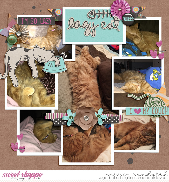 lazy cat