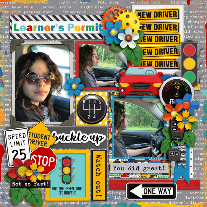 Learn2Drive
