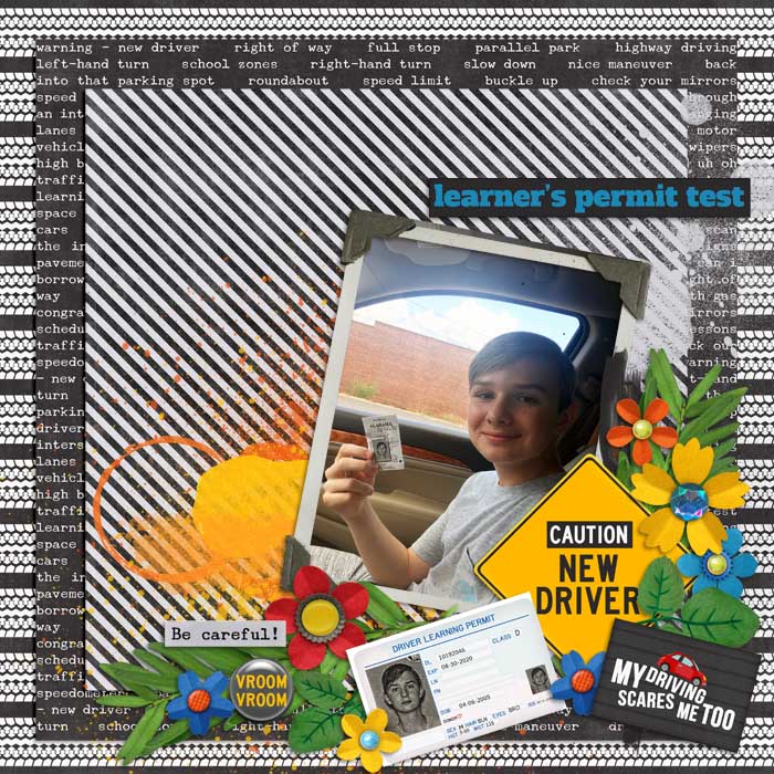 Learner's Permit