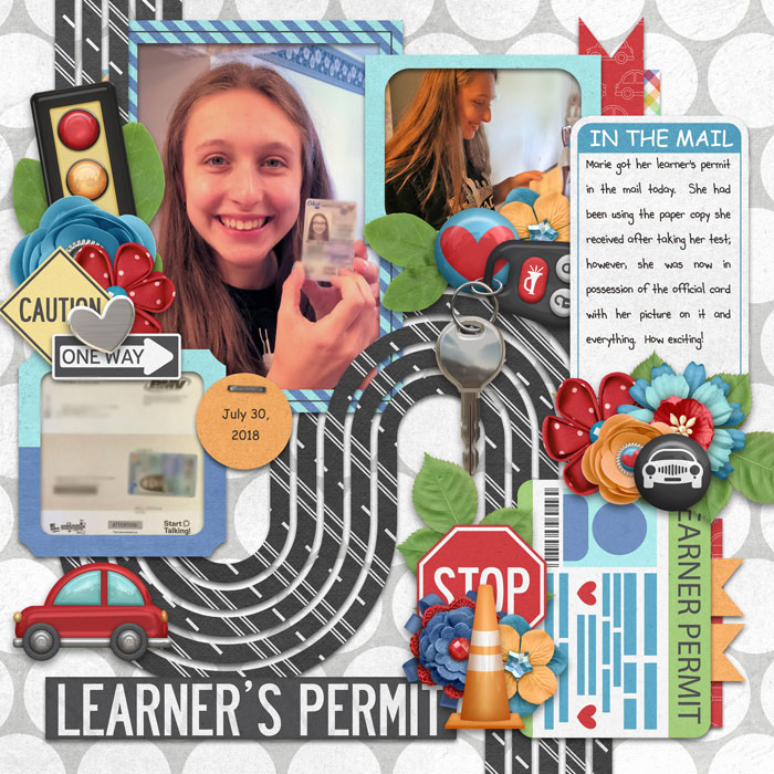 Learner's Permit