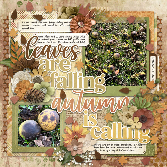 Leaves Are Falling