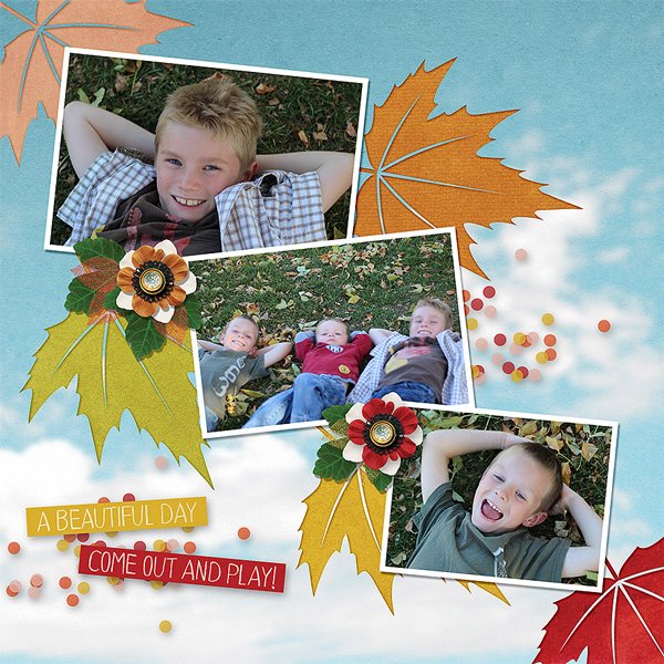 Leaves at the Park