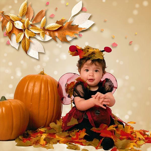 Leaves Falling is a Favorite Time