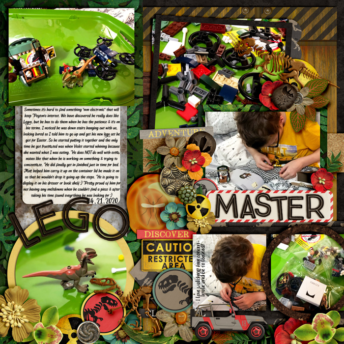 Lego Master