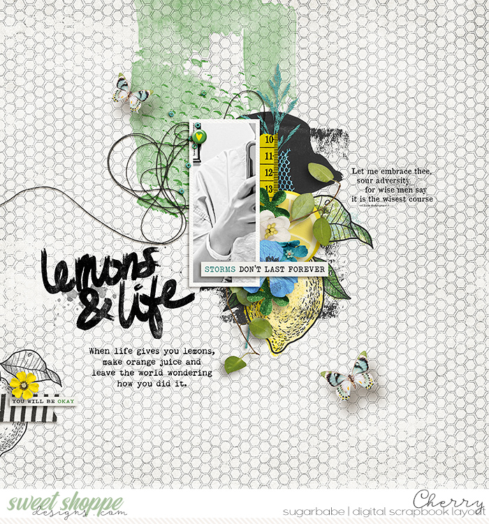 Lemons & Life