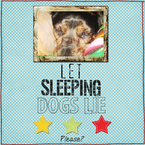 Let Sleeping Dogs Lie Please?