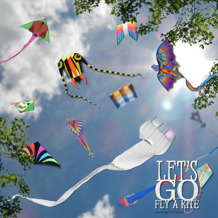 Let's Go Fly a Kite
