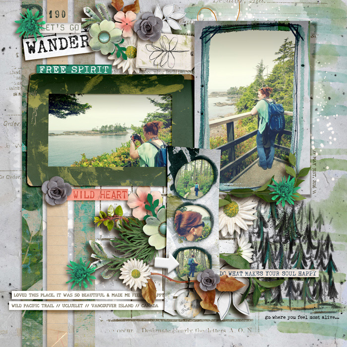 Let's Go Wander